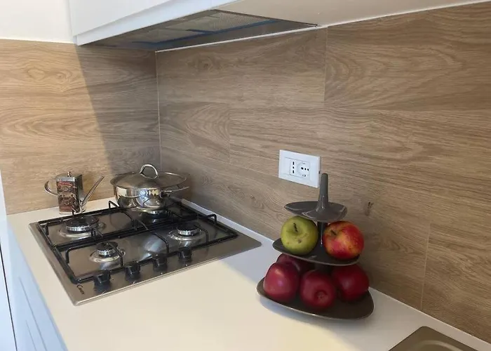 Appartement Càmar 110